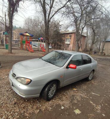mrs grey in Кыргызстан | APPLE IPHONE: Nissan Primera 2 л. 2000