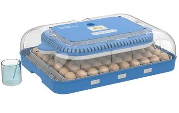инкубационный яицо: Инкубатор на 70 яиц "WONEGG" ЕВ-70инкубатор для куриных яиц