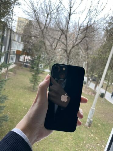 Apple iPhone: IPhone 13, 83 % — 6