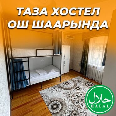 гостевой дом южный берег: 🛏️ NOVO Хостели - ХАЛАЛ! ❤️ Ош шаарынын борборунда Адрес: Кадыркула