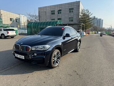 глушител на бмв: BMW X6: 2019 г., 3 л, Автомат, Дизель, Жол тандабас