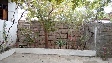 Həyət evləri və villaların satışı: Maştağada heyet evi satılır. 131 nömreli avtobusun axrıncı — 20