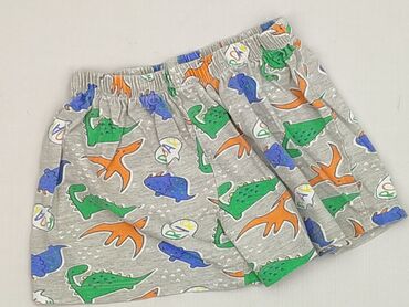 spodnie z zamkiem w kroku: Shorts, 3-4 years, 98/104, condition - Perfect