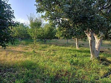 Продажа коттеджей и домов: Дом на Иссык-Куле!!! Продается просторный дом на участке 36 сотых at lalafo.kg — 34 Продажа коттеджей и домов: Дом на Иссык-Куле!!! Продается просторный дом на участке 36 сотых — 34