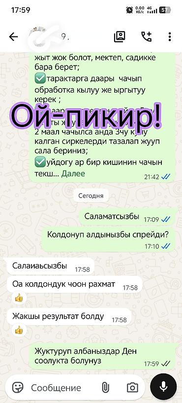 чп анта ош: 🌱Бит сиркеге каршы оригиналдуу 🧴 "АЙША ЭКО СПРЕЙ" 100% табигый — 7