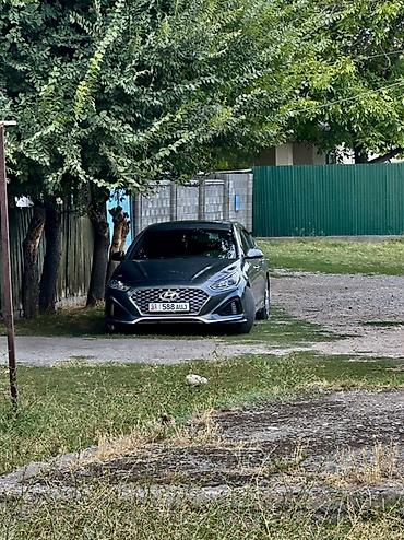 Продажа авто: Hyundai Sonata: 2017 г., 2 л, Автомат, Бензин, Седан — 5