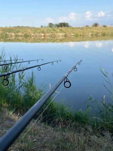 ковер для тренировок: Карповое удилище Vetro Carp-2 3.6 м 🎣 🔥 Идеальный вариант для