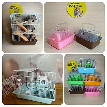 Зоотовары: Продаются клетки для хомячков, кроликов, морских свинок, ежей. Есть — 6