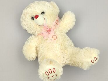 skarpety z polaru: Mascot Teddy bear, condition - Perfect