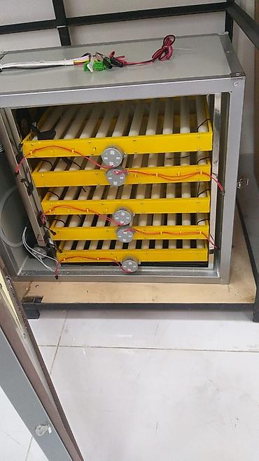 İnkubatorlar: Çin, Fabrik istehsalı, Tam avtomat, Bütün növ quşlaq üçün — 27