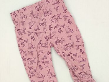 ocieplany pajacyk: Sweatpants, Fox&Bunny, 3-6 months, condition - Perfect