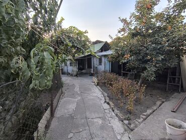 Продажа домов: Дом, 74 м², 4 комнаты, Собственник, Косметический ремонт at lalafo.kg — 15 Продажа домов: Дом, 74 м², 4 комнаты, Собственник, Косметический ремонт — 15