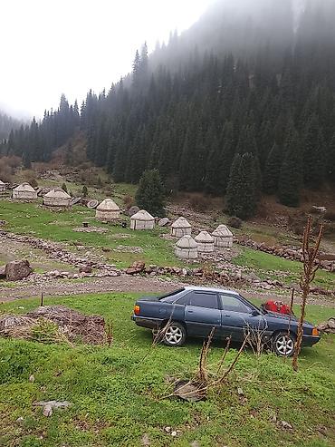Audi: Audi 100: 1989 г., Механика, Бензин, Седан — 2