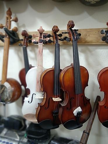 Hər ölçüdə skripkaların satışı təmir lalafo.az -da Hər ölçüdə skripkaların satışı təmir