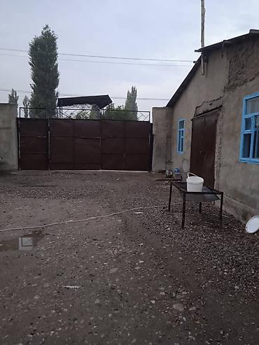 Дома: Продаётся частный дом с большим земельным участком и хозяйственными — 4