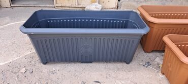 CD, DVD disklər və kassetlər: Dibcek qabi dibcek qablari gul qabi gul qablari bag ucun dibcek — 13