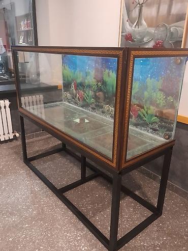 Аквариумы: Аквариумы на заказ под форель и для дома! делаю ремонт а так-же — 12