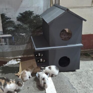 Yuvalar: DOMiKİ DLYA KOŞEK i SOBAK — 13