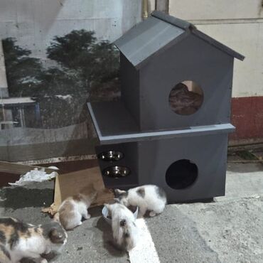 Yuvalar: Rəngli taxta heyvan evi/budaq evciyi - Material: taxta konstruksiya — 14