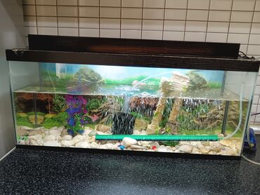 Akvariumlar: Tam komplekt akvarium seti - Şüşə akvarium, üst qapaqlı - Daxili — 6