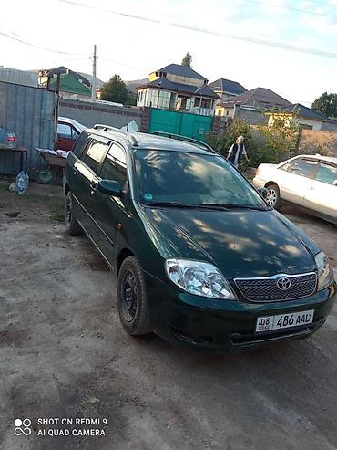 corolla 2016: Toyota Corolla: 2003 г., 1.6 л, Механика, Бензин, Универсал — 2