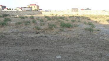 Torpaq sahələrinin satışı: 6 sot, Kənd təsərrüfatı, Mülkiyyətçi, Bələdiyyə — 9