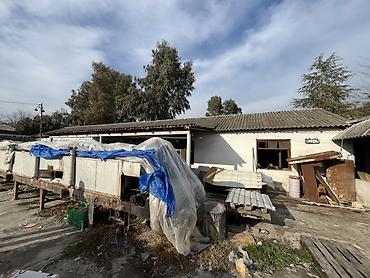 Digər biznes avadanlığı: Sənaye tipli uzun konveyer-qurutma xətti və ötürücü aqreqatlar - — 6