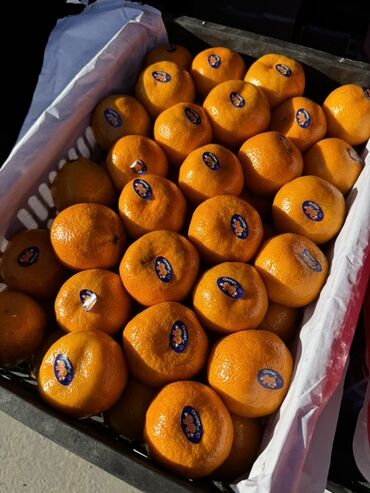 Мандарины: Мандарины — 12