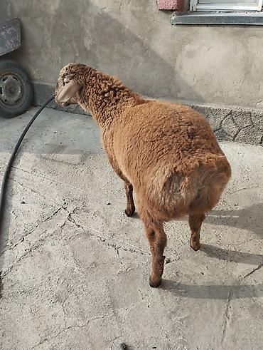 Сварка: Сварка | Камины Высотные работы — 3