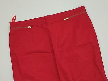 second hand pszczyna: Spódnica damska, rozmiar 2XL — 1