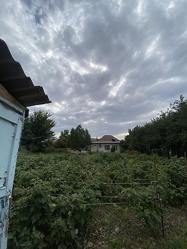 модульный жом: Дом с приусадебным участком и садом - Одноэтажный дом с скатной — 4