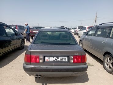 на рекс спринтер: Audi 100: 1991 г., 2.6 л, Механика, Газ, Седан