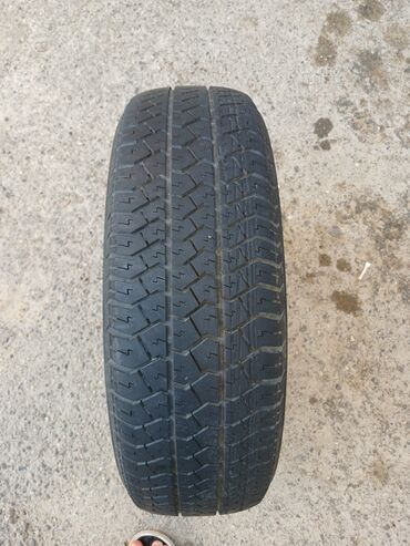 berde masin: Şin Michelin R 15