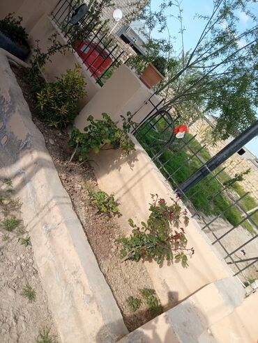 Bağ evlərinin satışı: Zeynalabdin Tağıyev, 120 kv. m, 4 otaqlı, Hovuzsuz, Qaz, İşıq, Su -da lalafo.az — 16 Bağ evlərinin satışı: Zeynalabdin Tağıyev, 120 kv. m, 4 otaqlı, Hovuzsuz, Qaz, İşıq, Su — 16