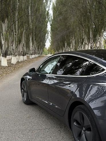 Tesla: Tesla Model 3: 2018 г., 0.1 - engine capacity л, Автомат, Электромобиль, Седан lalafo.kg да — 3 Tesla: Tesla Model 3: 2018 г., 0.1 - engine capacity л, Автомат, Электромобиль, Седан — 3