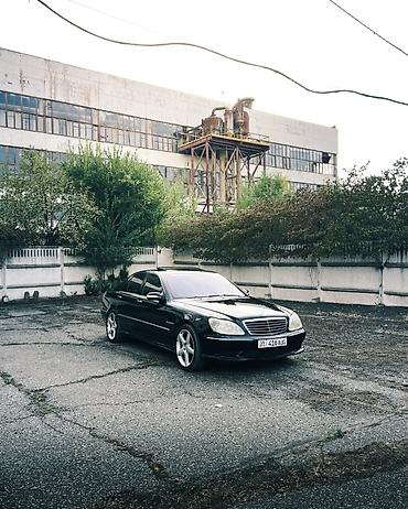 e53 губа: Mercedes-Benz S-Class: 2003 г., 5 л, Седан — 2