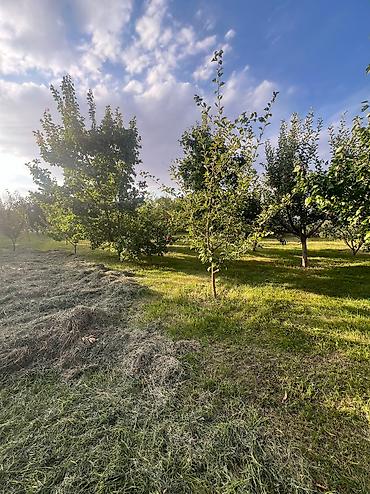 Продажа домов: Ыссык-Кол району Кош-Кол айылынан жер там сатылат Баня бар 17 сотых — 2