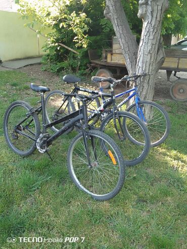 bicikla: Ocuvane bicikle dve Treba da se nameste gume jedna je u voznom stanju