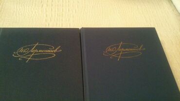 Bədii ədəbiyyat: Собрания сочинений:Гоголь, Толстой, Стейнбек,Гюго,Стендаль и другие — 27