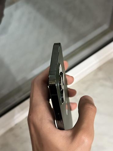 iphone 64: IPhone 13 Pro Max, 256 GB, Alpine Green, Face ID — 7