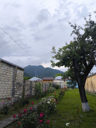 Torpaq sahələrinin satışı: 6 sot, Mülkiyyətçi, Kupça (Çıxarış) — 3