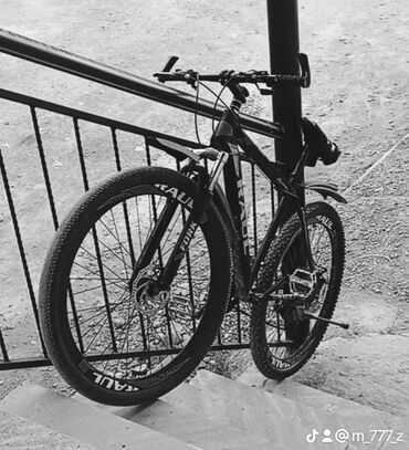 velosiped üçün işıq: İşlənmiş Şəhər velosipedi Stels, 29", sürətlərin sayı: 12, Ünvandan götürmə