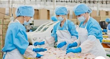 упоковщик: Работа на производстве птицы (пищевое предприятие) - Участок — 1