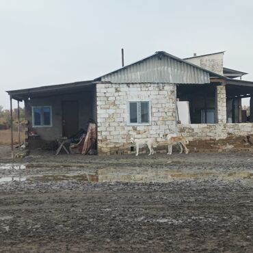 Torpaq sahələrinin satışı: 10000 sot, Kənd təsərrüfatı, Mülkiyyətçi, Müqavilə