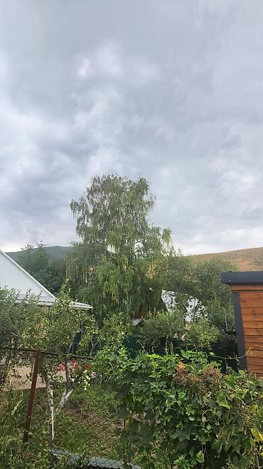 дача геофизик кызыл туу: 🏡 ПРОДАМ ДАЧУ В С. БАЙТИК, «НАУКА» Продаётся дача в живописном месте — 7