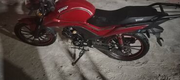 Motonəqliyyatın icarəsi: Tufan - M50N, 50 sm3, 2024 il, 11000 km