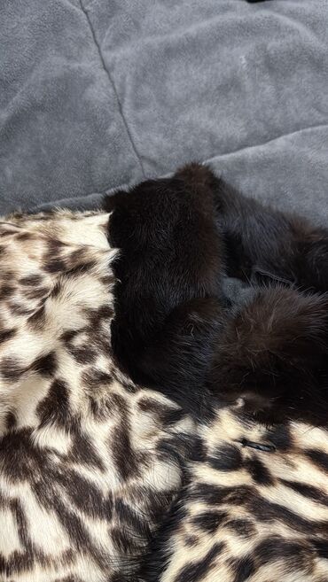 Kürklər: Her biri yeni ve ya 1 defe geyinilmis suba modeli 1:1 copy yeni,sonra — 6