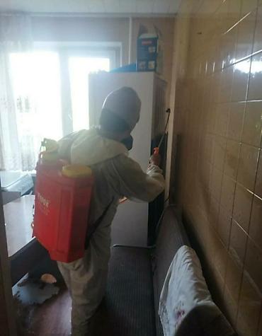 Дезинфекция, дезинсекция: Дезинфекция, дезинсекция, | Клопы, Блохи, Тараканы, | Транспорт, Офисы, Квартиры — 10