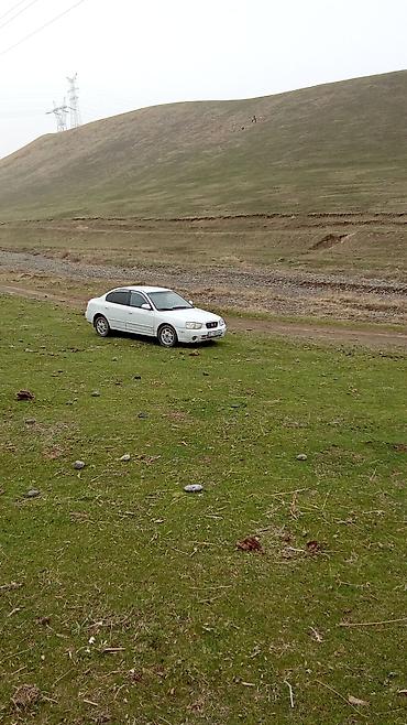 шампунь для авто: Hyundai Elantra: 2001 г., 1.6 л, Автомат, Бензин, Седан — 6