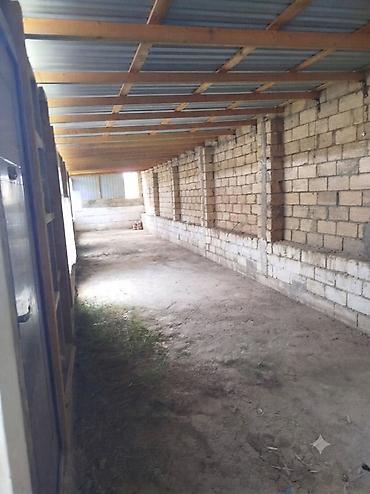 giris qapi: Masazırda 3,3 eni 22 metr uzunu.yeri beton deyil.išig 0 fasadı.aylig — 2